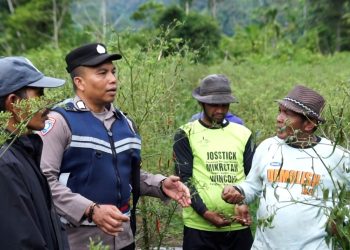Bripka Adi Syafnur Arisal, Polisi di Aceh Inspiratif Mengubah Lahan Ganja jadi Lahan Palawija