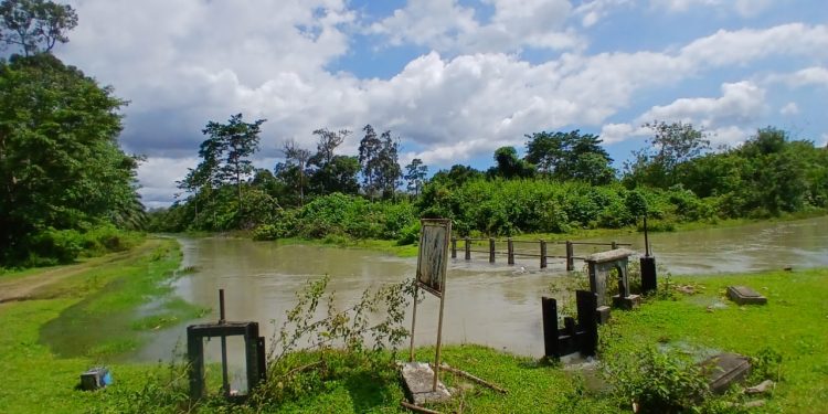 Hujan Semalaman Sebabkan Banjir Rusak Persawahan Warga