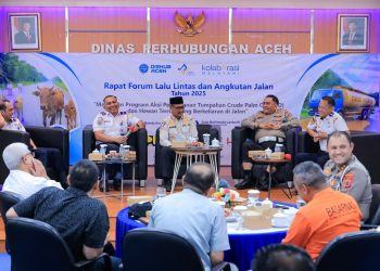 Forum LLAJ Aceh: Tumpahan CPO Dan Hewan Ternak Liar Jadi Penyabab Kecelakaan Di Jalan Raya