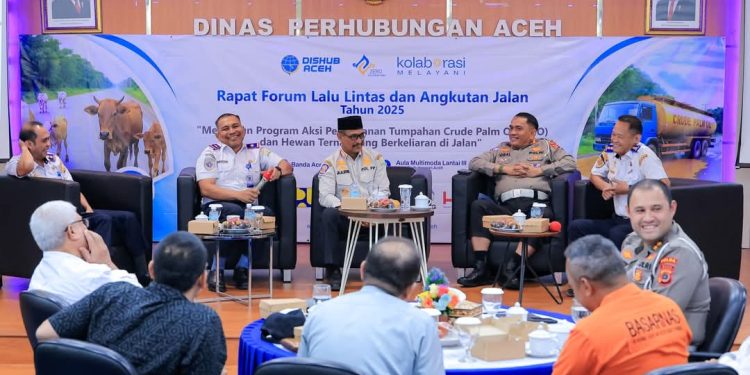 Forum LLAJ Aceh: Tumpahan CPO Dan Hewan Ternak Liar Jadi Penyabab Kecelakaan Di Jalan Raya