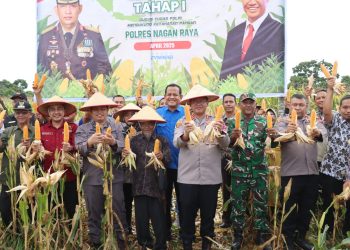 Kapolres Nagan Raya Hadiri Panen Raya Jagung Tumpang Sari, Wujud Sinergi Dukung Ketahanan Pangan Daerah